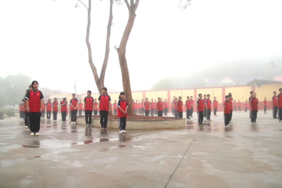 image1.jpeg