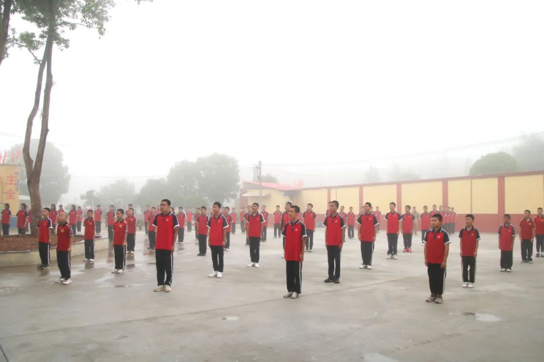 image5.jpeg